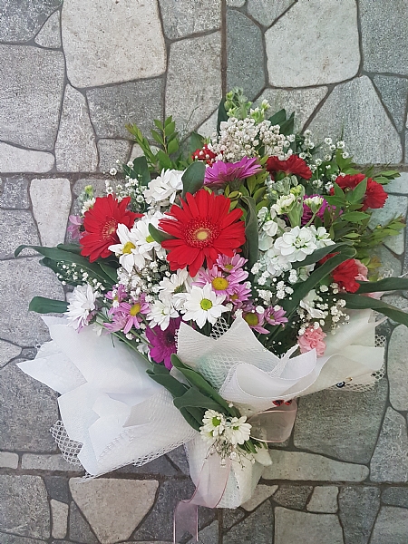 4 Dal Beyaz Phalaenopsis Orkide