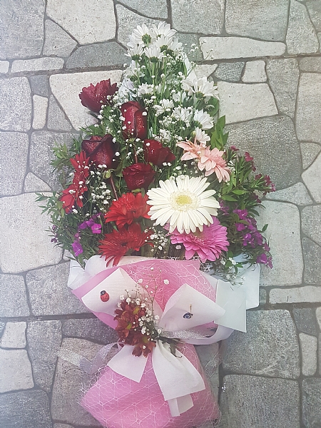 4 Dal Beyaz Phalaenopsis Orkide