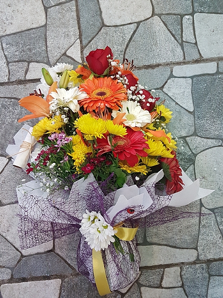 4 Dal Beyaz Phalaenopsis Orkide