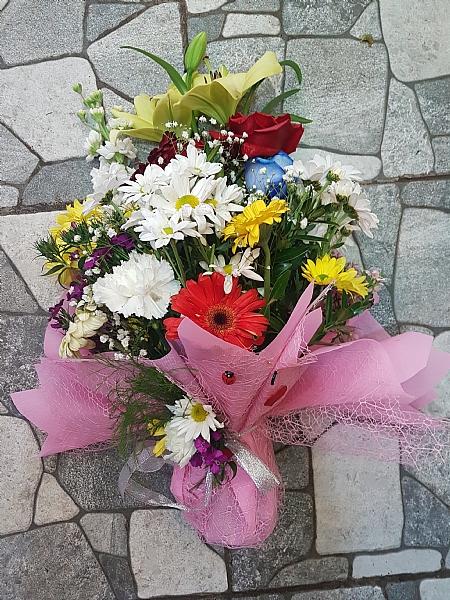4 Dal Beyaz Phalaenopsis Orkide
